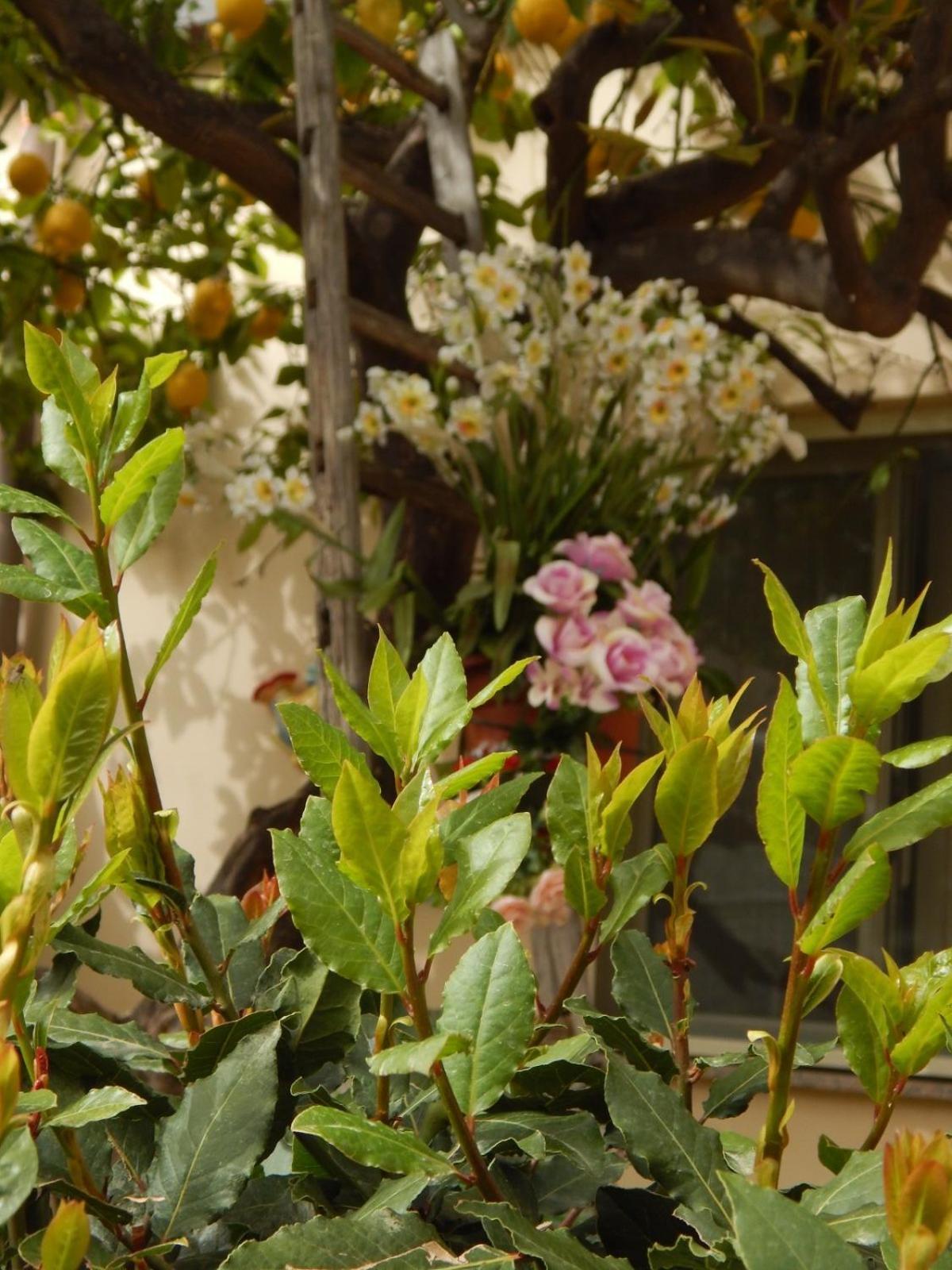 Appartamento Nel Giardino Di Nunziatina Syracuse Esterno foto