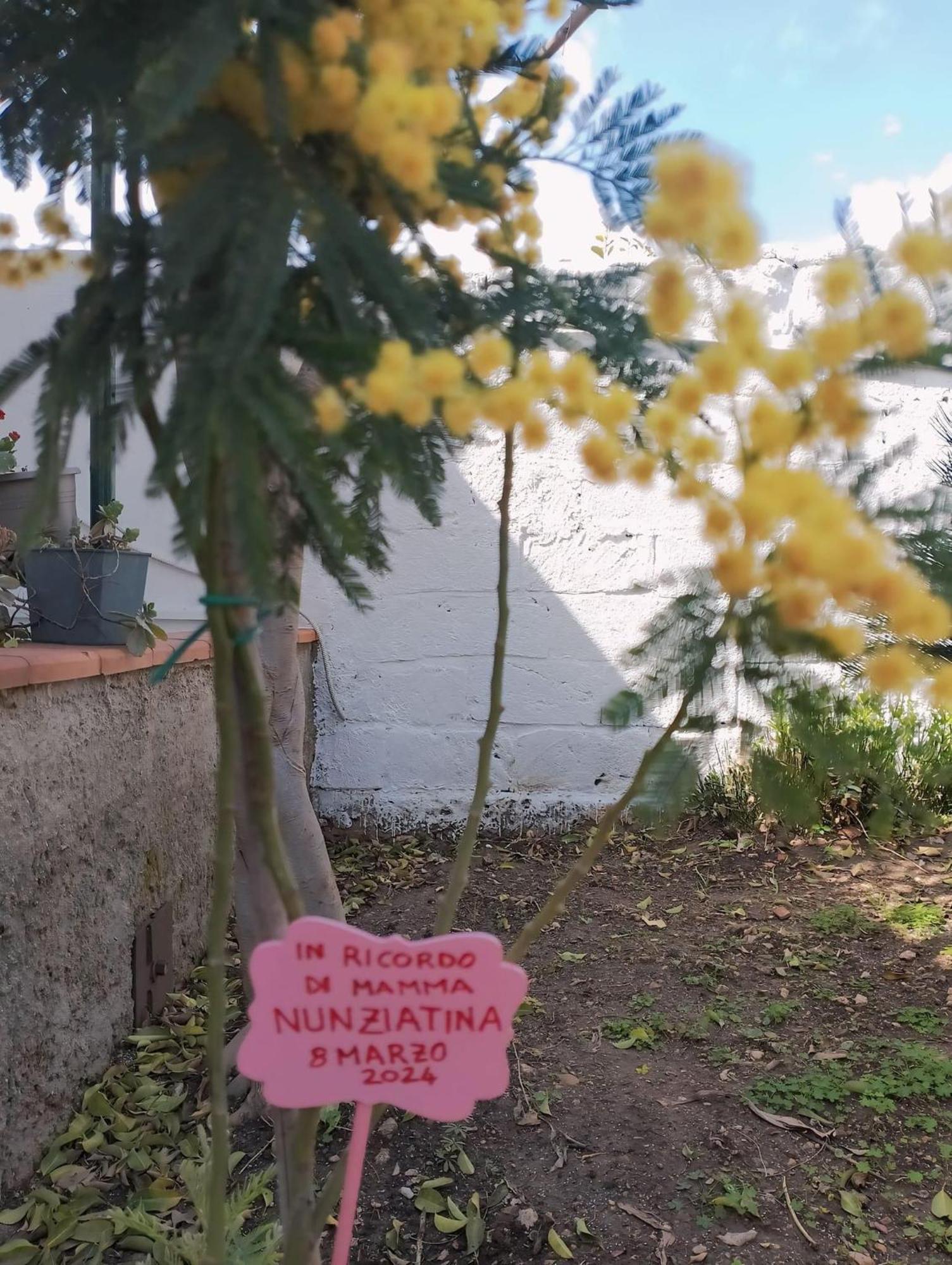Appartamento Nel Giardino Di Nunziatina Syracuse Esterno foto